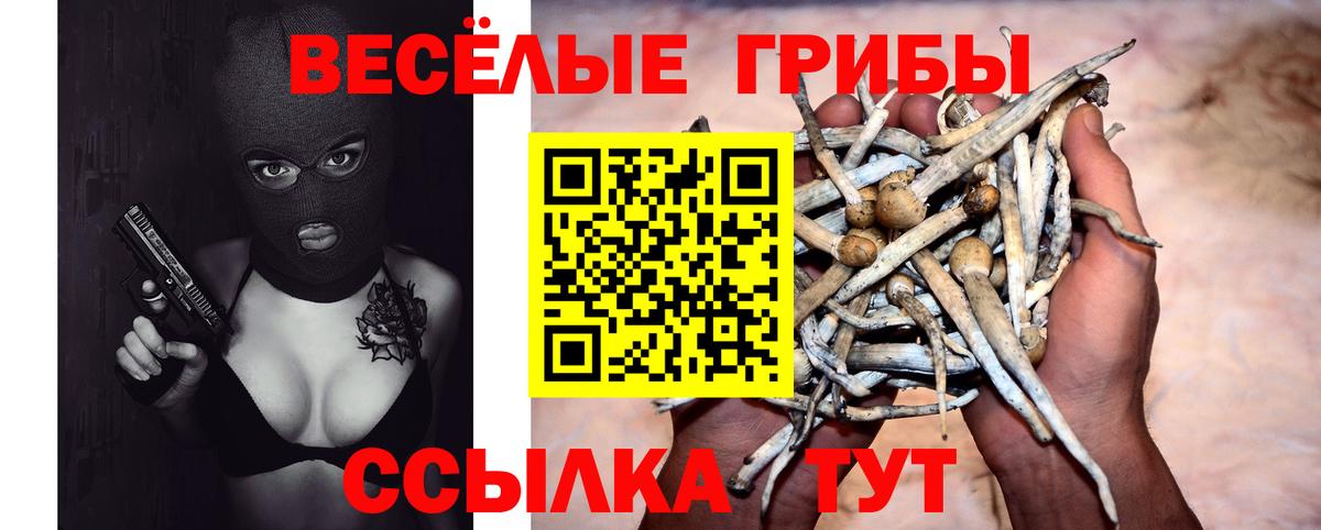 Псилоцибиновые грибы Cubensis Джанкой